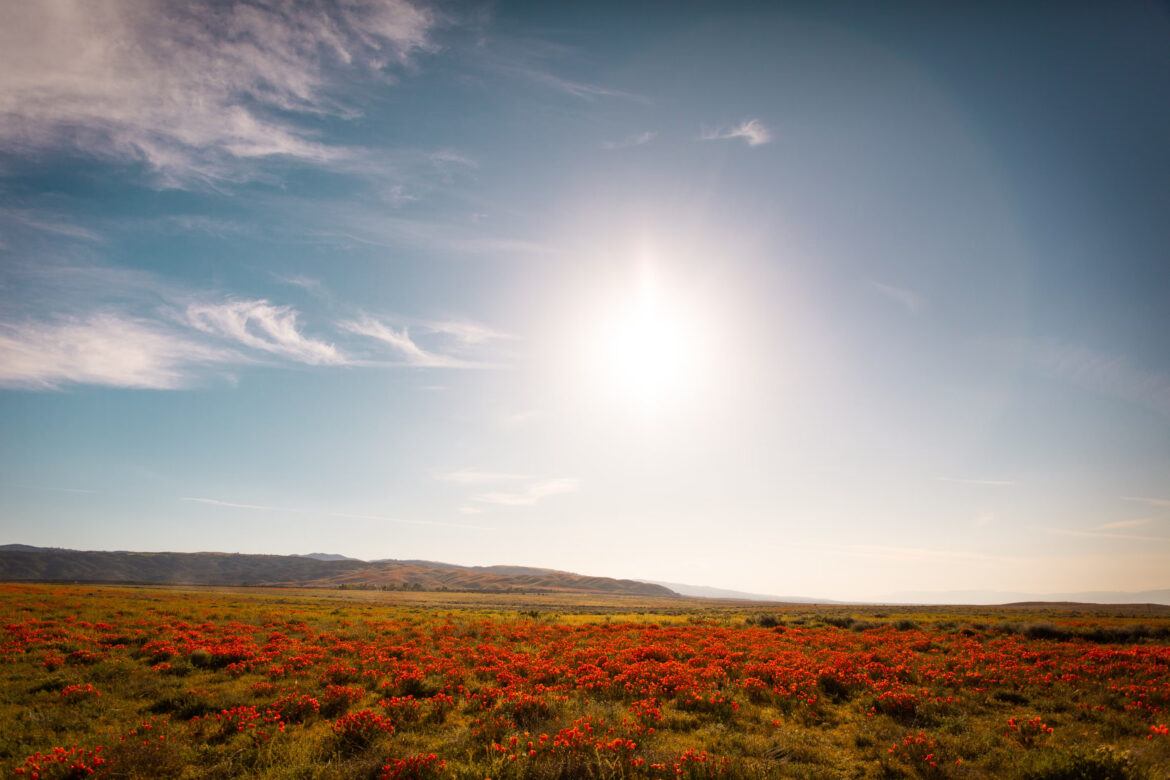 The Power of Positive Thinking in Achieving Your Goals